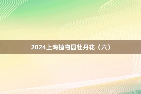 2024上海植物园牡丹花（六）