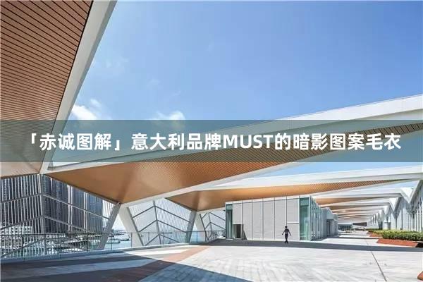 「赤诚图解」意大利品牌MUST的暗影图案毛衣