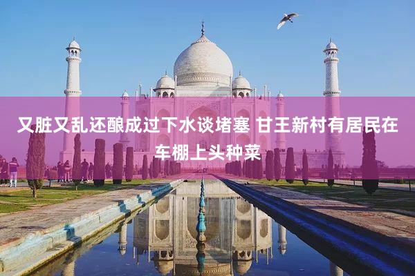又脏又乱还酿成过下水谈堵塞 甘王新村有居民在车棚上头种菜