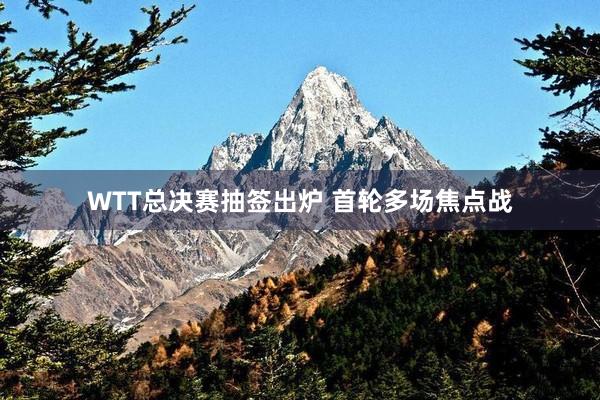 WTT总决赛抽签出炉 首轮多场焦点战