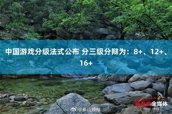 中国游戏分级法式公布 分三级分辩为：8+、12+、16+