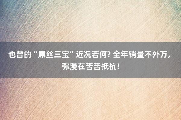 也曾的“屌丝三宝”近况若何? 全年销量不外万, 弥漫在苦苦抵抗!