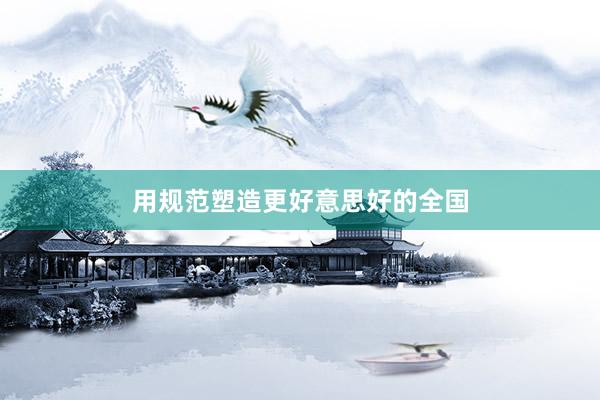 用规范塑造更好意思好的全国