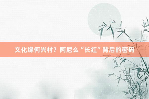 文化缘何兴村？阿尼么“长红”背后的密码